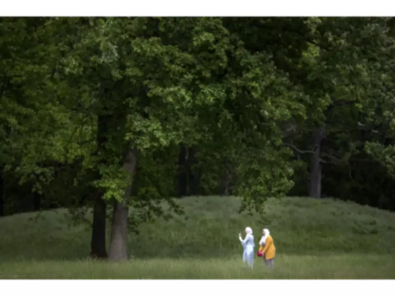 Windsor Closes Optimist Memorial Park After Destructive Windstorm Damage