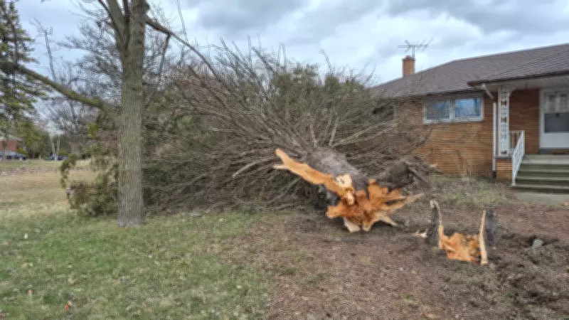 Windsor-Essex Faces Severe Wind Warning with Gusts Up to 100 km/h