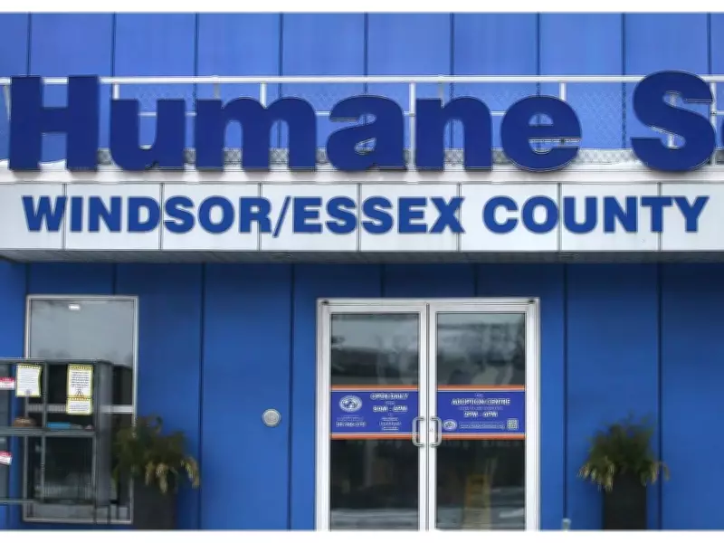 Windsor Humane Society to Appeal Court Ruling on Member Voting Rights