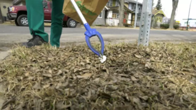 Windsor Launches Community Cleanup Initiative to Beautify Streets