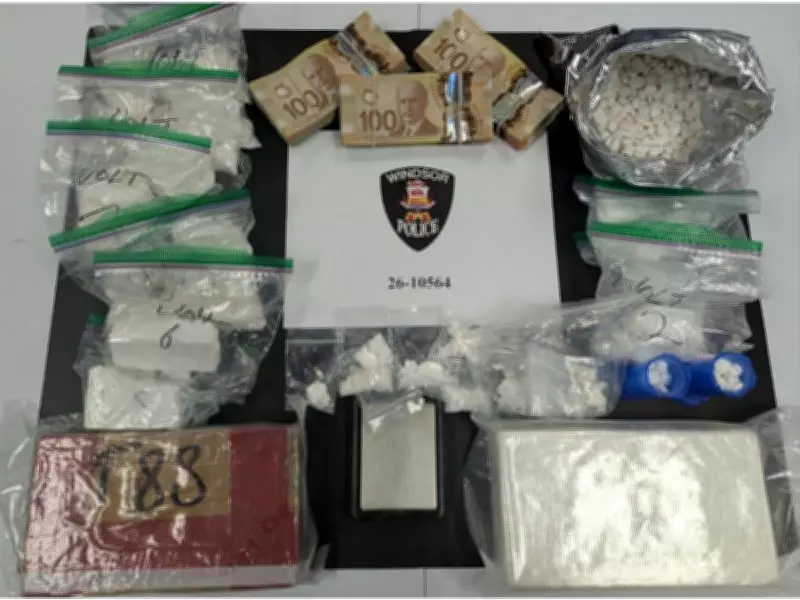 Windsor Police Arrest Suspect, Seize $338K in Drugs and Cash in Major Bust