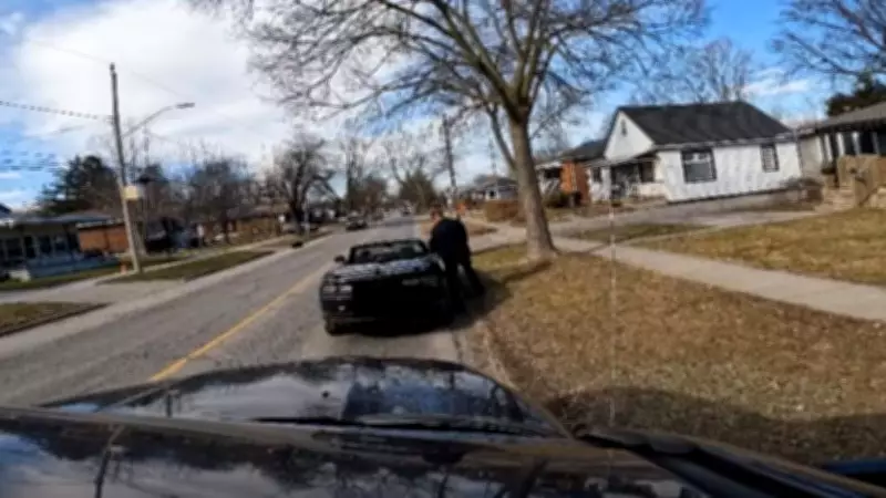 Windsor Police Issue 257 Traffic Tickets in Four-Day Enforcement Blitz