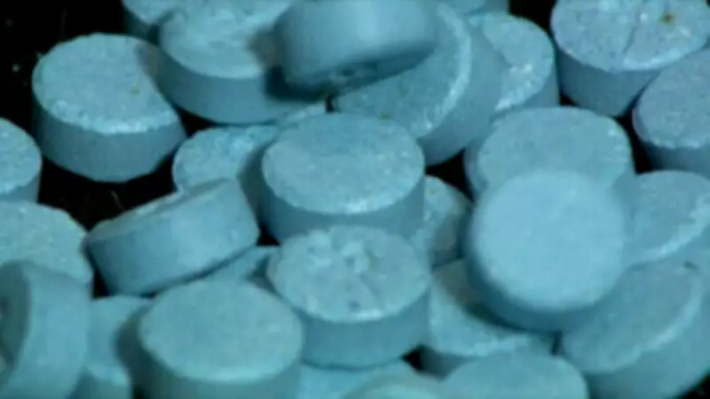 Windsor Police Report Significant Drop in Fentanyl Seizures for 2025