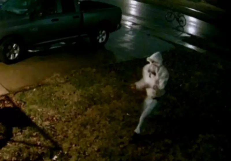 Windsor Police Seek Public's Help to Identify West-End Vandalism Suspect