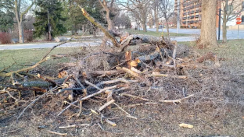 Windsor's 311 Service Logs 200 Wind Damage Reports Amid Severe Weather