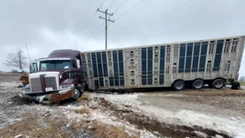 Wingham Transport Truck Driver Charged Following Single-Vehicle Crash Near Moorefield
