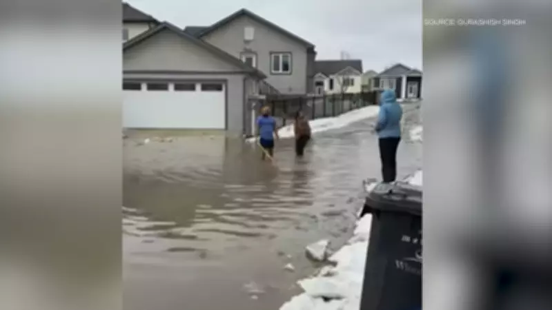 Winnipeg Homeowners Battle Flooded Streets Amid Spring Thaw