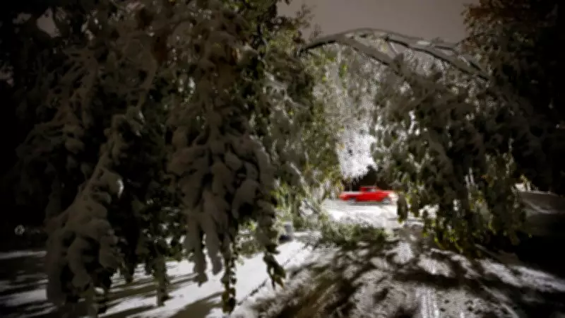 Winnipeg Seeks to Enhance Disaster Debris Management After Severe Weather Events