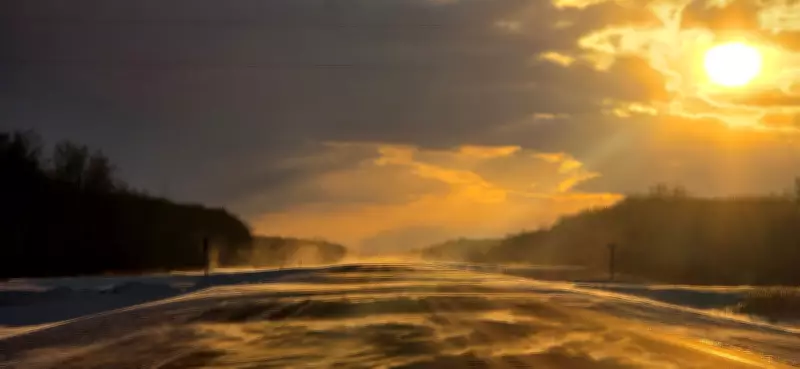 Winnipeg Sees Hundreds of Collisions Reported Amid Friday's Wintry Wind Blast