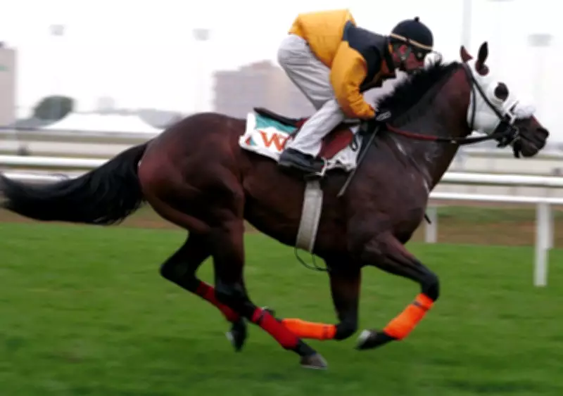 Woodbine and NYRA Launch Empire Trillium Series for Horse Racing