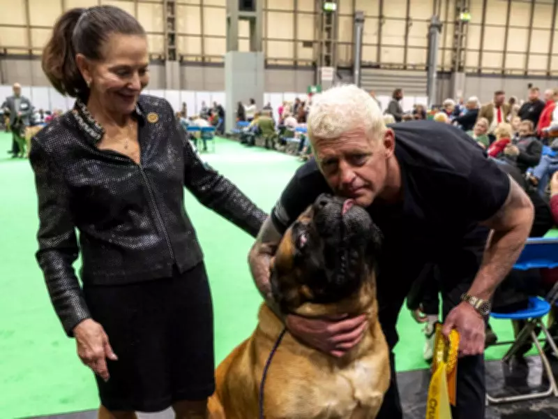 Wrestler Dustin Rhodes' Mastiff Beast Wins at World's Largest Dog Show