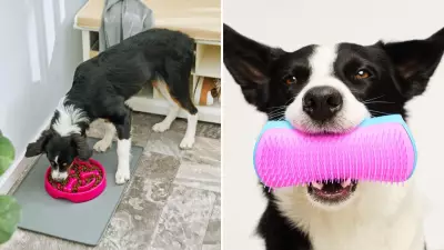 18 Practical and Clever Dog Products to Simplify Life for Pet Owners