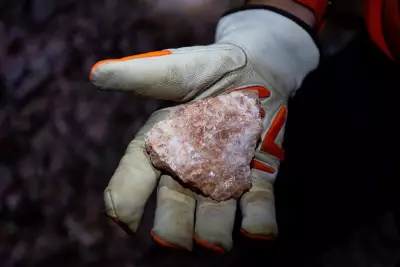 BHP Warns of Potash Market Deficit by 2035 as Demand Surges Past Supply