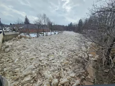 Bighead River Flooding in Meaford Reaches Unprecedented Levels Not Seen in Years