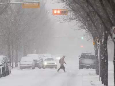 Calgary Braces for Another Major Spring Snowstorm with Up to 25 cm Forecast