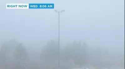 Calgary Fog Advisory: Poor Visibility and Freezing Rain Threaten Commuters