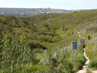 Calgary Parks Department Seeks $14M Boost Amid Rising Complaints and Growth