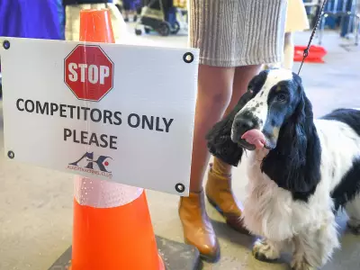 Calgary Weekend Showcases Dog Shows, Home Exhibits and Community Drives