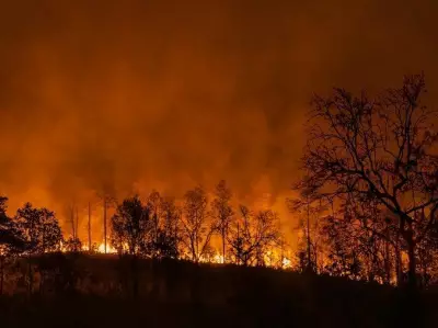 Climate Scientists Warn of Potential 'Super El Nino' Impacting Canada in 2026