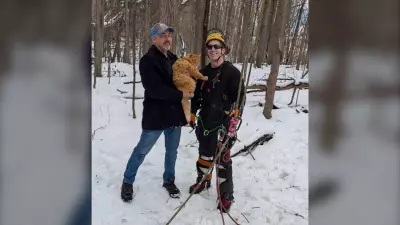 Community Unites to Rescue Orange Cat Trapped in Orléans Tree for Days