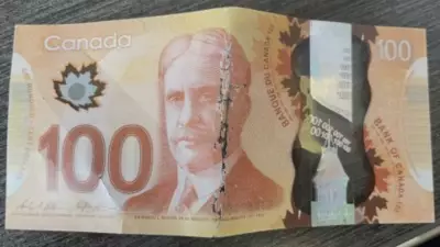 Counterfeit $50 and $100 Bills Circulate at Guelph Businesses, Police Investigate