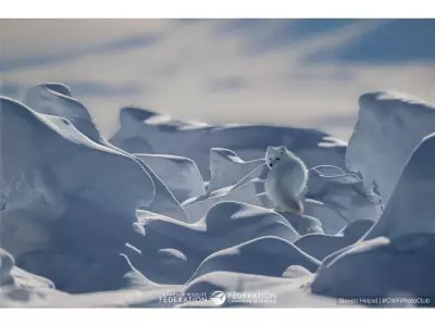 CWF Announces Winners of National Nature Photo Contest with 10,600 Entries