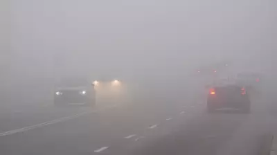 Dense Fog Advisory Issued for Southwestern Ontario, Warning of Near-Zero Visibility