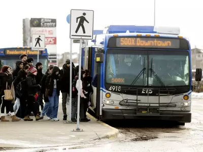 Edmonton's Transit Divide: Businesses Split on Bus-Only Lanes Impact