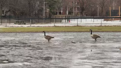 Environment Canada Warns Ottawa of Heavy Snow and Freezing Rain in Special Statement