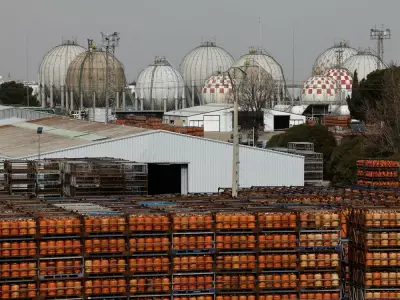 European Gas Prices Plummet as Trump Predicts Swift End to Iran Conflict