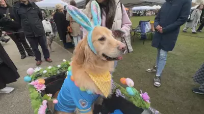 First-Ever Pet Parade Blooms at Vancouver Cherry Blossom Festival