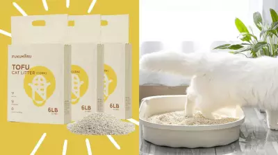Fukumaru Tofu Cat Litter: 17% Off Sale with Health Benefits for Pets