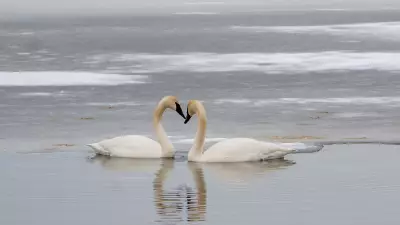 Hezbollah Retaliates with Missile Strikes After Iran Leader's Death