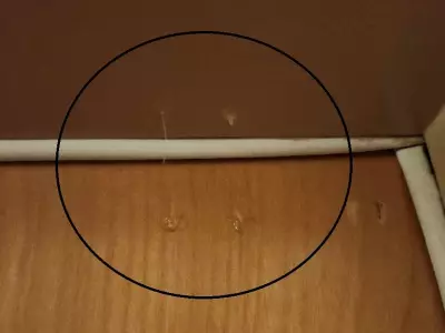 Hot Glue Bandits Target Metro Vancouver Apartments in Break-In Spree