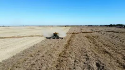 Manitoba Farmland Values Experience Largest Decade Surge Amid Agricultural Boom