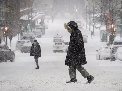Montreal Braces for Up to 10 cm of Snow Friday, Travel Disruptions Expected