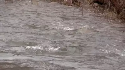 MVCA Issues Flood Watch for Maitland and Nine Mile River Amid Heavy Rainfall Forecast