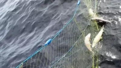 Ontario Men Fined Over $7,600, Banned from Fishing for Illegal Activities in Provincial Park