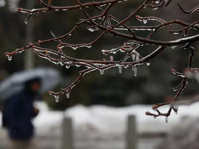 Ottawa Braces for Extended Freezing Rain Event with Up to 24 Hours of Icy Conditions
