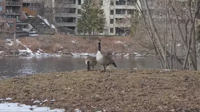 Ottawa Braces for Wintry Mix as Spring Weather Takes a Chilly Turn