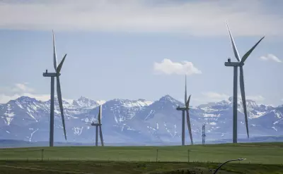Pembina Institute Urges Renewables Focus in Alberta Energy MOU Talks
