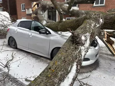 Power Outages Persist in Quebec Following Severe Winds, School Closures Reported