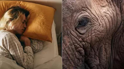 Side Sleeping and Skin Aging: Dermatologists Debunk Myths About Wrinkles