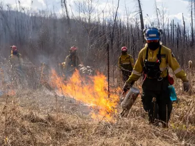 Southern Alberta's Dry Wildfire Conditions Raise Concerns as Spring Approaches