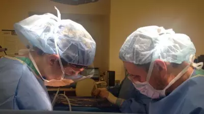 Surgeon's Child-Free Choice Sparks Debate on Women's Value Beyond Motherhood