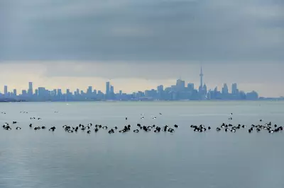Toronto's Air Quality Alert Lifted After Environmental Conditions Improve