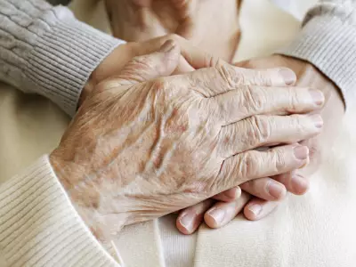 What Earth's Longest-Lived Animals Reveal About Better Human Aging