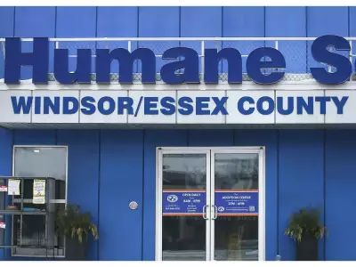 Windsor Humane Society to Appeal Court Ruling on Member Voting Rights