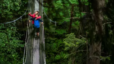 Zipline and Tree Canopy Walkway to Open in Vancouver's Queen Elizabeth Park This Summer