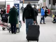 Air Travel to U.S. Plummets 30% in February as Domestic and International Trips Surge